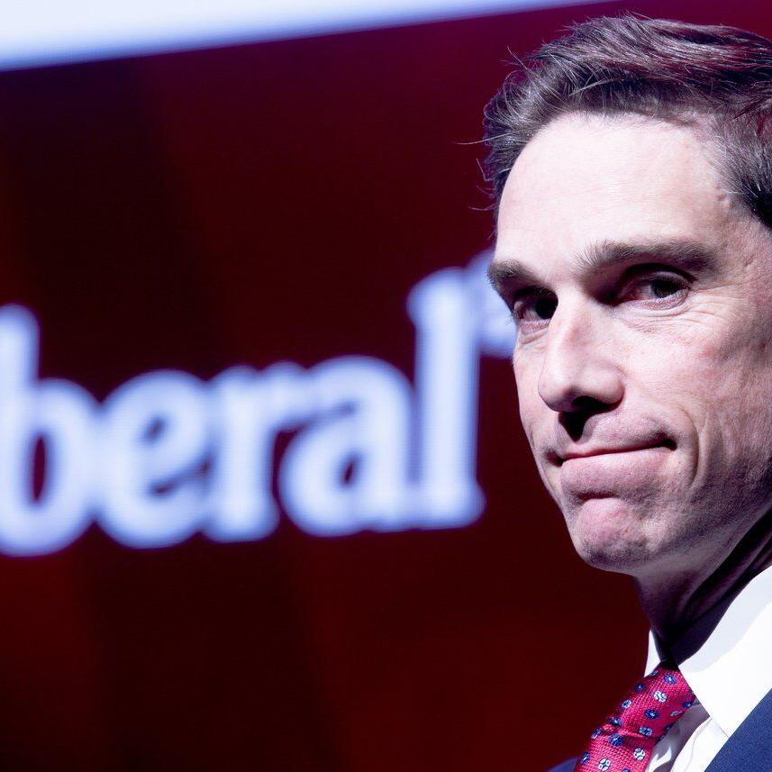 Quick Sketch: Liberal John Hogan hopes to win his first election as N.L. premier